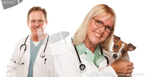 Image of Female Veterinarian Doctors with Small Puppy