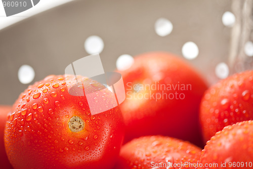 Image of Fresh, Vibrant Roma Tomatoes in Colander with Water Drops