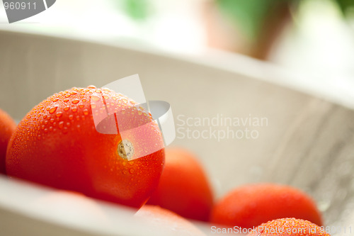 Image of Fresh, Vibrant Roma Tomatoes in Colander with Water Drops