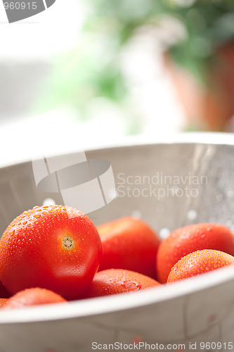 Image of Fresh, Vibrant Roma Tomatoes in Colander with Water Drops