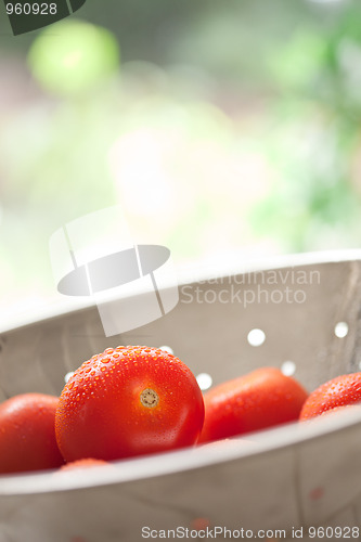 Image of Fresh, Vibrant Roma Tomatoes in Colander with Water Drops