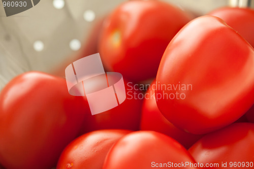 Image of Fresh, Vibrant Roma Tomatoes