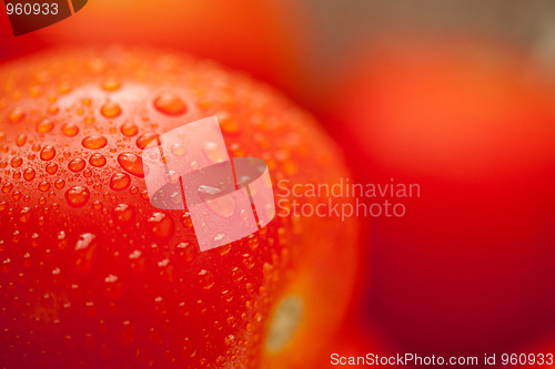 Image of Fresh, Vibrant Roma Tomatoes with Water Drops