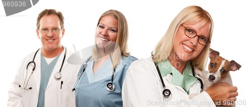 Image of Female Veterinarian Doctors with Small Puppy