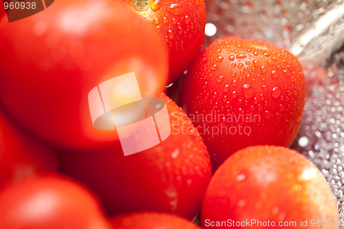 Image of Fresh, Vibrant Roma Tomatoes in Colander with Water Drops