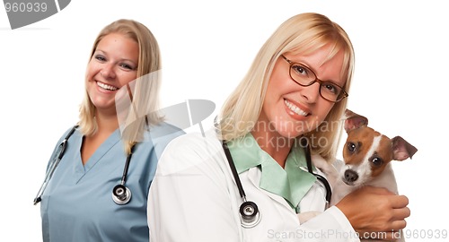 Image of Female Veterinarian Doctors with Small Puppy