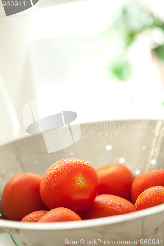 Image of Fresh, Vibrant Roma Tomatoes in Colander with Water Drops