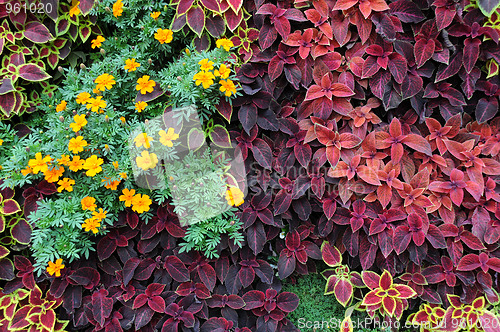 Image of Design of Ground Covers