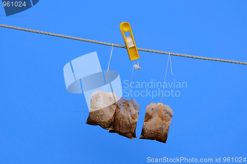 Image of Tea Bags on the Rope in the Sun