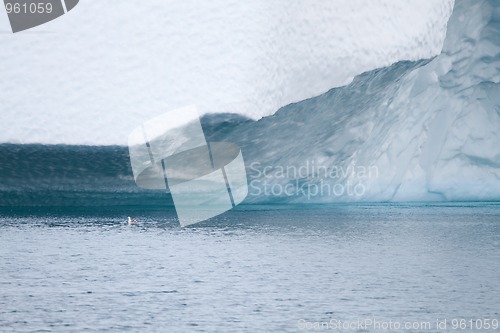 Image of Iceberg in Ilulissat