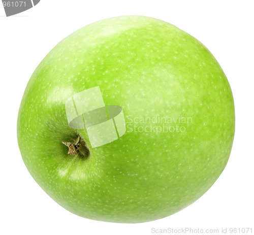 Image of Single a green apple