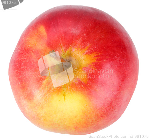 Image of Single a red-yellow apple