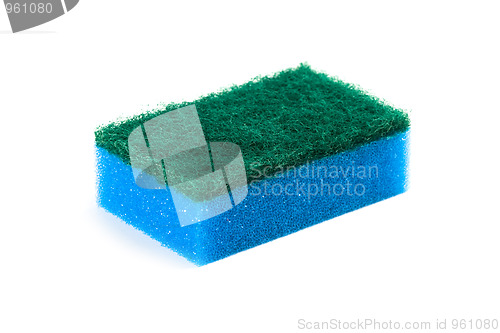 Image of blue sponge