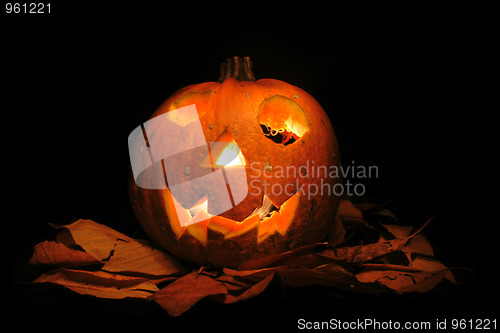 Image of halloween decoration