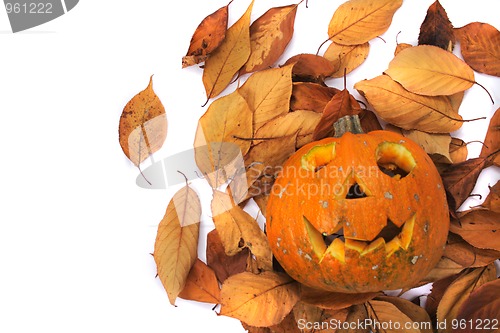 Image of halloween decoration