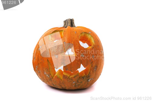 Image of halloween decoration