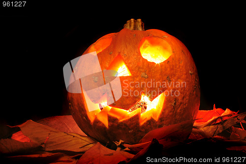 Image of halloween decoration