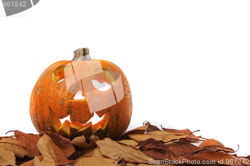 Image of halloween decoration