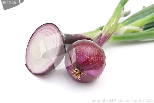 Image of Red young onion 