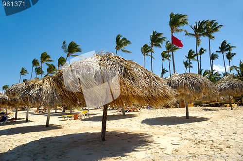 Image of Parasols on beach