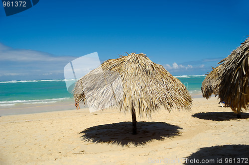 Image of Parasol on beach