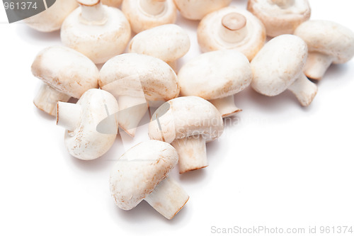 Image of Champignons