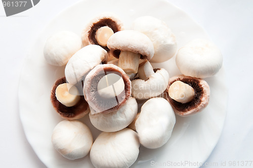 Image of Champignons