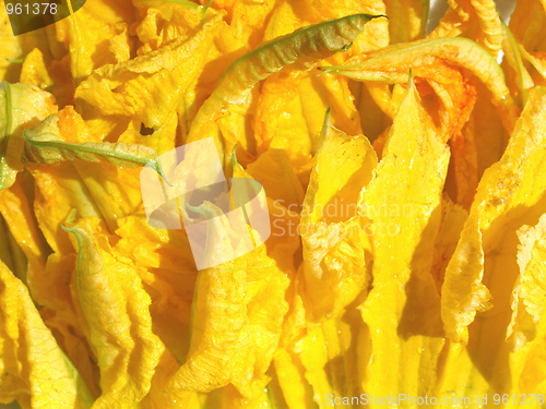 Image of Courgette flowers