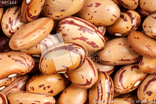 Image of Dry beans background