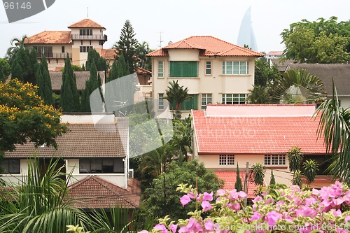 Image of Tropical homes