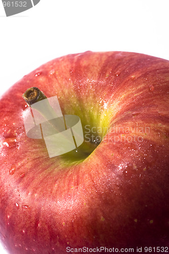 Image of Red ripe apple on a white background 
