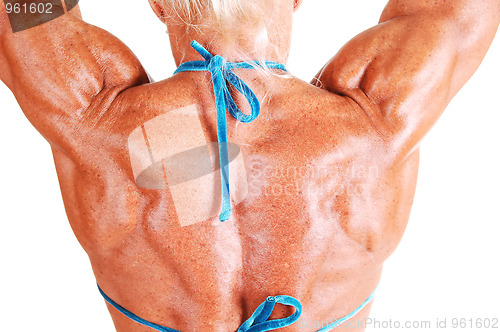 Image of Tha back of a muscular woman.