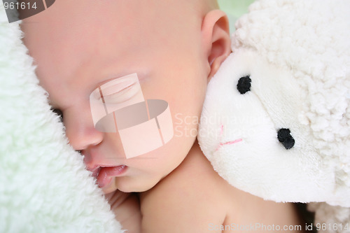 Image of Sleeping Newborn