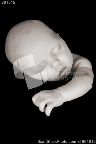 Image of Sleeping Newborn