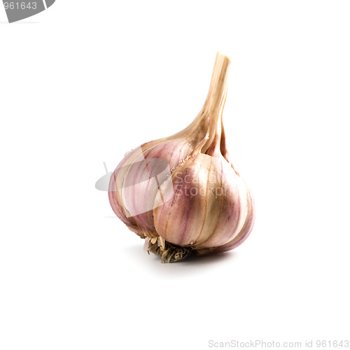 Image of head of garlic