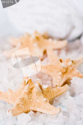 Image of seasalt, towel and sea stars