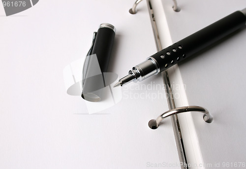 Image of Fancy Pen