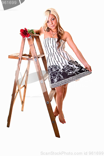 Image of Girl on stepladder.