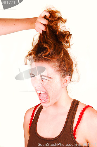 Image of Don't pull my hair.
