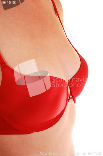 Image of Woman in red bra.