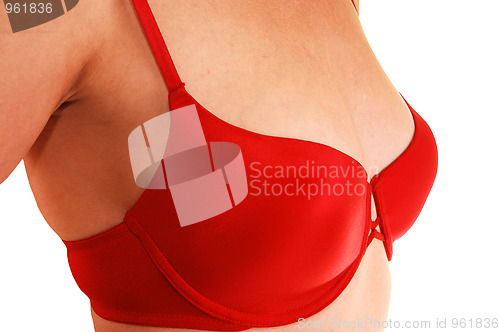 Image of Woman in red bra.