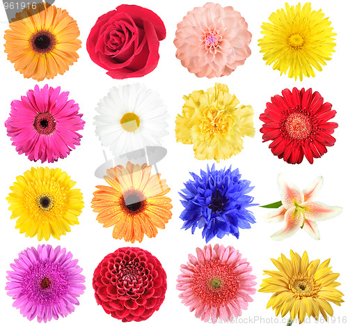 Image of Set of flowers