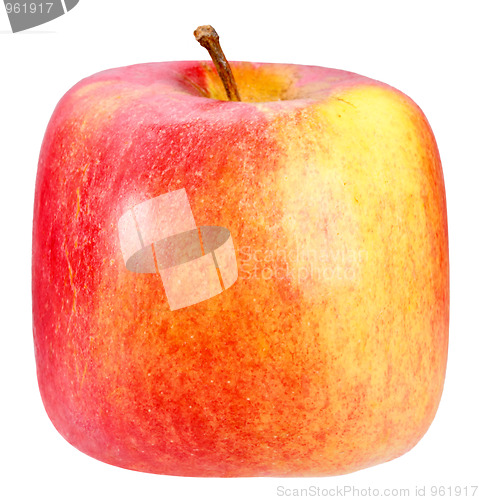 Image of Single square red-yellow apple