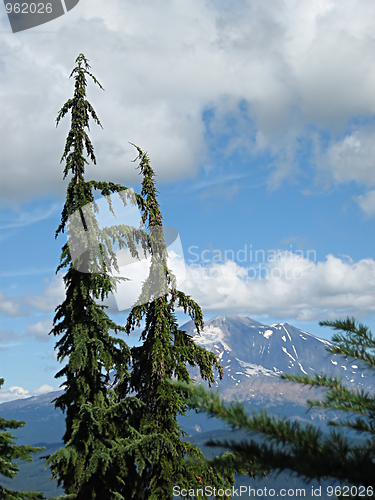 Image of Mountain Scenery