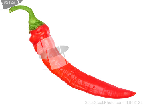 Image of Single red fresh chilli-pepper