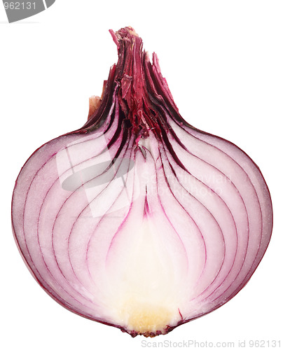 Image of Single cross dark-red fresh onion
