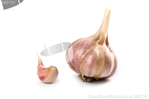 Image of fresh garlic