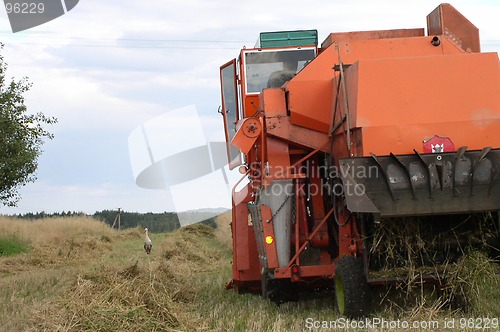 Image of Harvesting