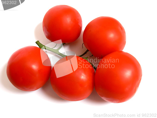 Image of Red tomatoes   