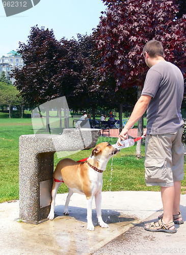 Image of Man with dog  